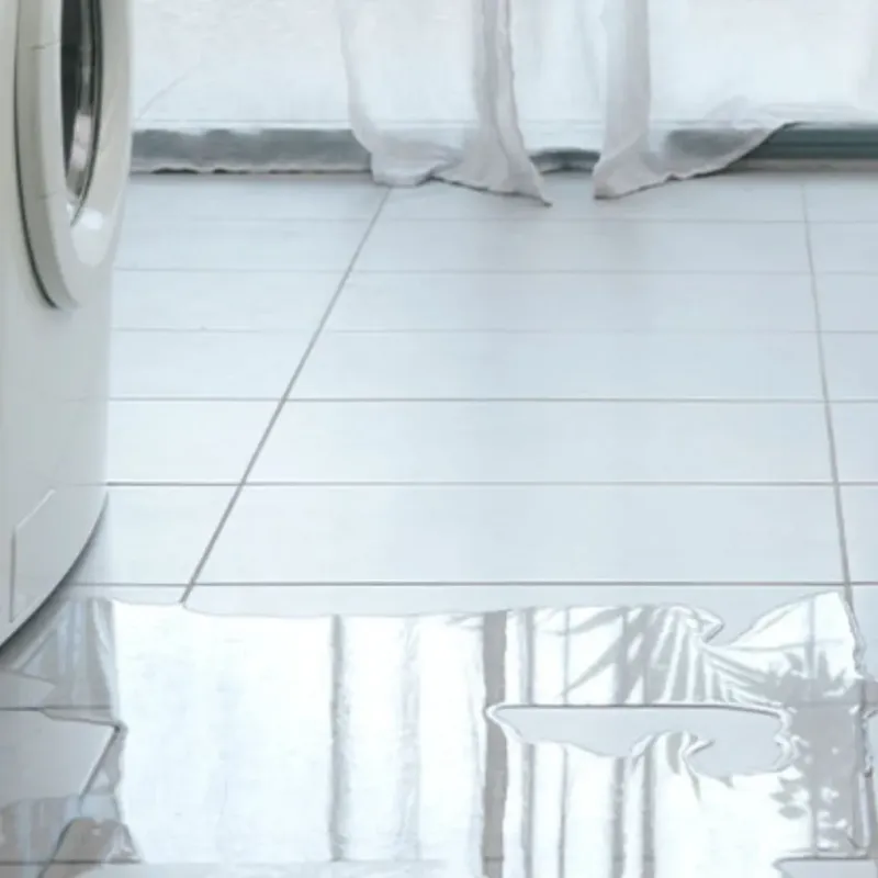 Appliance Leak Cleanup in Lewisburg, TN