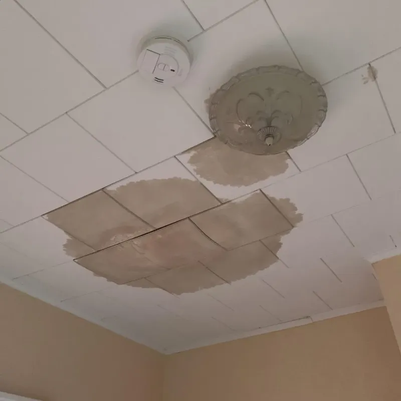 Ceiling Water Damage Repair in Lewisburg, TN