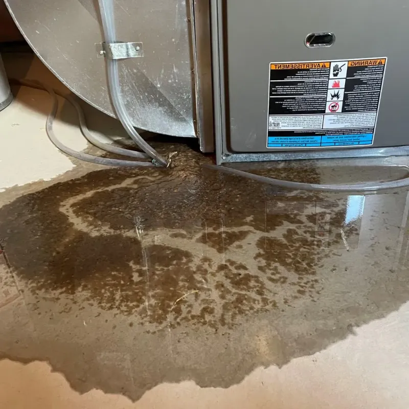 Pipe Burst and Leak Restoration in Lewisburg, TN