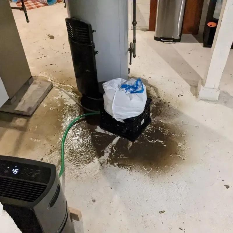 Sewage Backup Cleanup Service in Lewisburg, TN